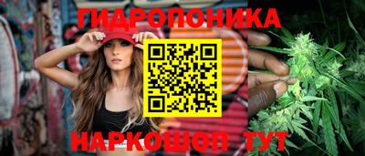 гидра Можайск
