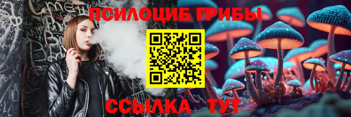 Псилоцибиновые грибы прущие грибы  даркнет сайт  Вход с VPN  Ялта  Псилоцибиновые грибы GOLDEN TEACHER 